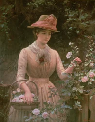 Rosen pflücken